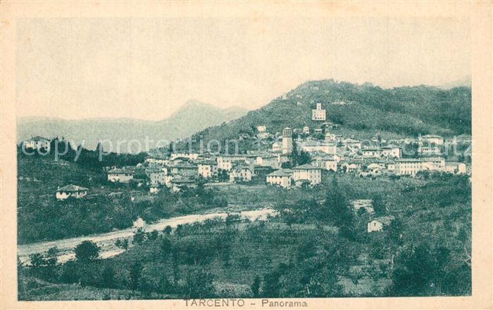 Tarcento Panorama