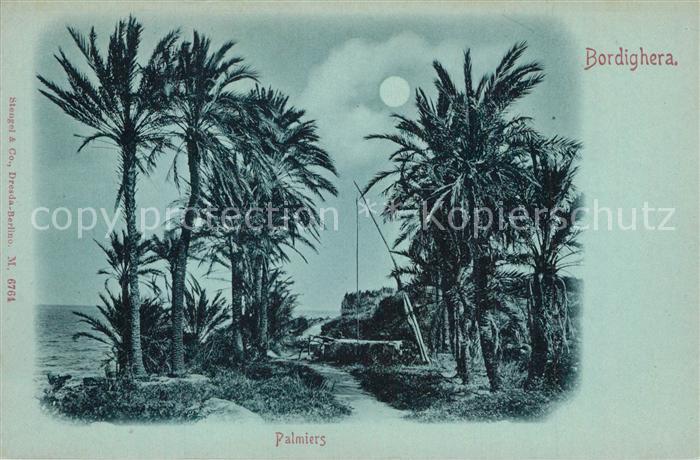 Bordighera Palmiers Mondschein
