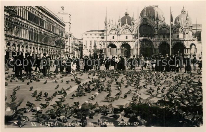 Venezia Venedig Piccioni Piazza San Marco
