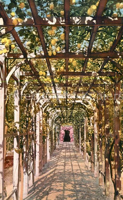 Como Lago di Como Villa Carlotta Villa Coperto