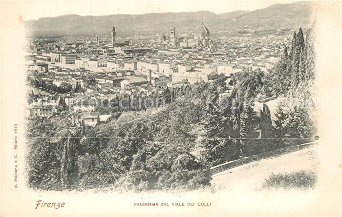 Firenze Florenz Panorama