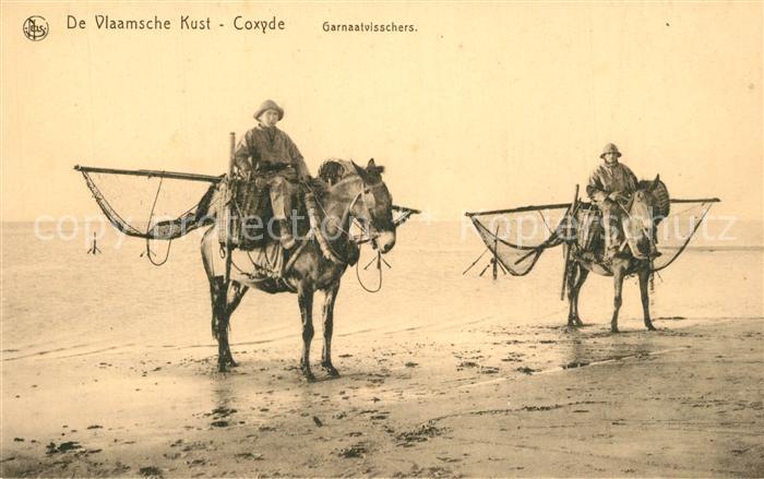 Coxyde De Vlaamsche Kust Garnaatvisschers