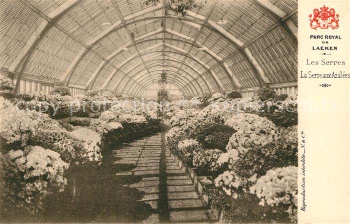 Laeken Parc Royal Les Serres La Serre aux Azalees