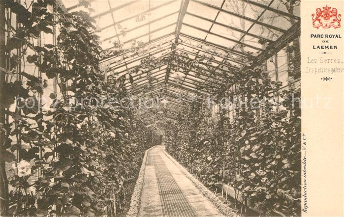 Laeken Parc Royal Les Serres Les petites galerie