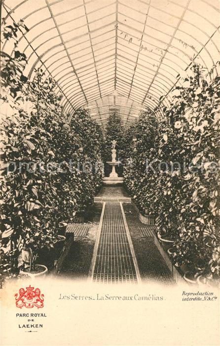 Laeken Parc Royal Les Serres La Serre aux Camelias