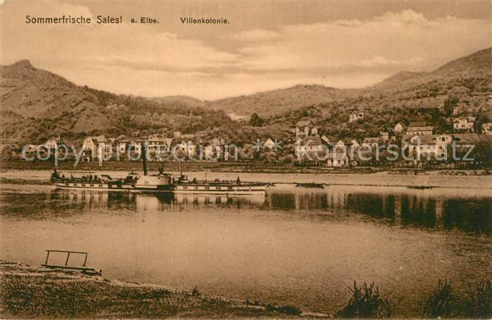Salesl Salesel Dolni Zalezly Uferpartie an der Elbe Dampfer Villenkolonie