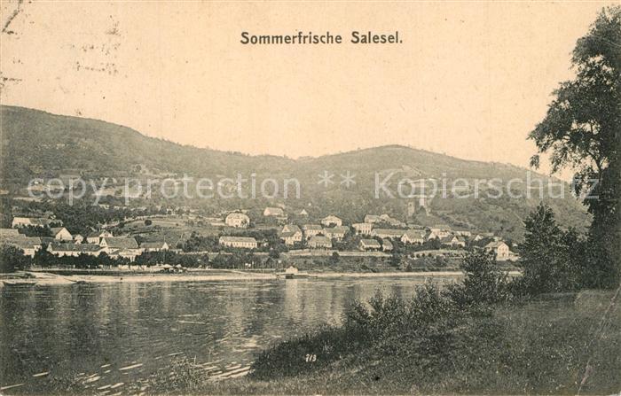 Salesel Tschechien Uferpartie an der Elbe Sommerfrische