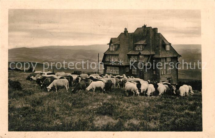 Radhoscht Hotel Radegost Schafherde