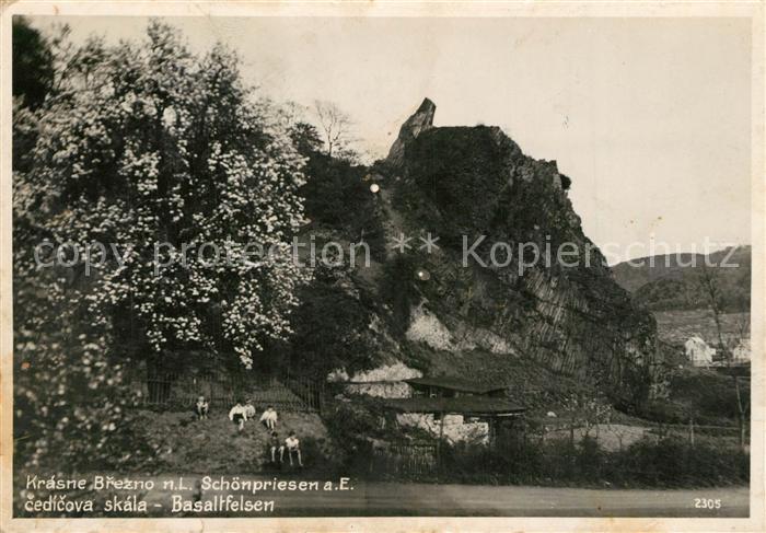 Krasne Brezno Schoenpriessen Cedicova skala Basaltfelsen Baumbluete
