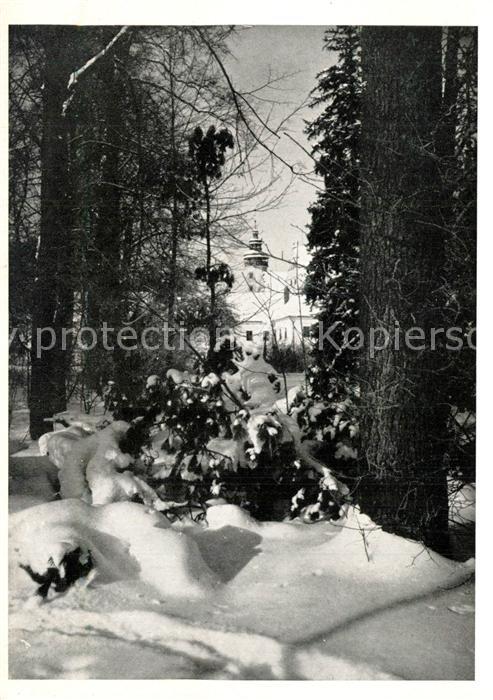 Bad Ullersdorf Waldpartie im Winter