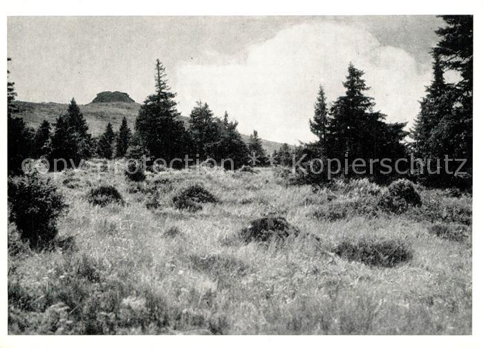 Freiwaldau Tschechien Peterstein Altvatergebirge