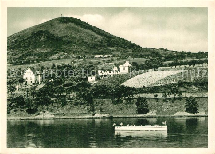 Litomerice Leitmeritz Nordboehmen Blick ueber die Elbe Berg Radobyl