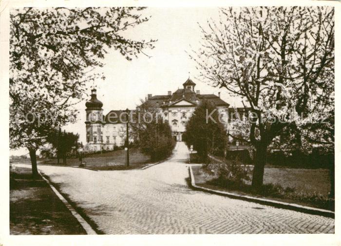 Olmuetz Olomouc Kloster Hradisch Baumbluete