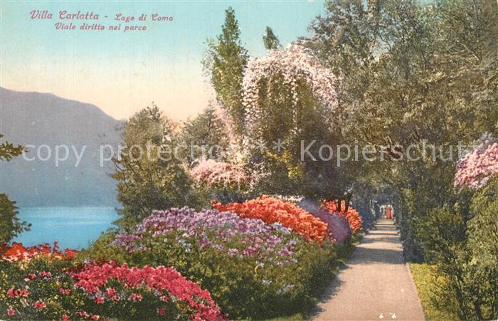 Tremezzo Lago di Como Villa Carlotta Viale nel Parco