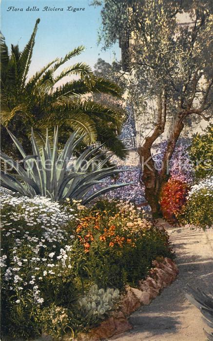 Riviera di Ligure Flora