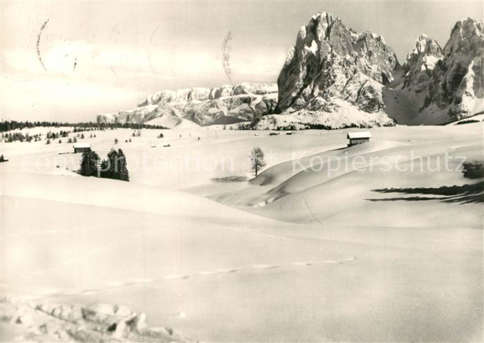 Alpe di Siusi Sassolungo Gruppo Sella