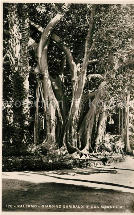 Palermo Sicilia Giardino Garibaldi Feigenbaum