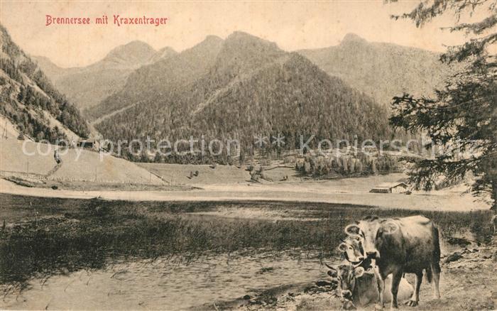 Brennersee Kraxentrager K?he