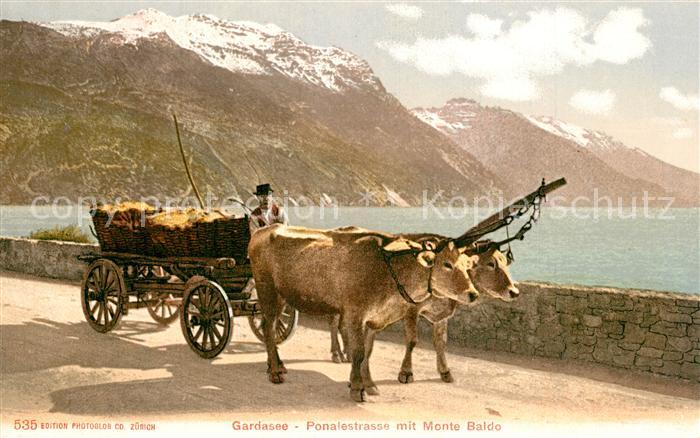 Ponalestrasse Monte Baldo Ochsenkarre Gardasee