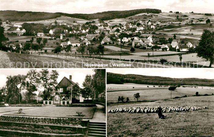 Neuenheerse Panorama Hotel Schafherde