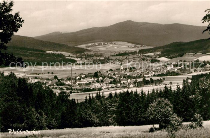 Waldmuenchen Cham Bayern Panorama