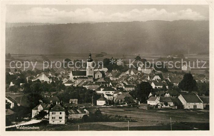 Waldmuenchen Cham Bayern Panorama