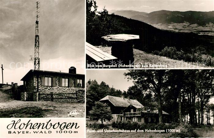 Bayerischer Wald Hohenbogen Blick vom Burgstall zum Kaitersberg Forst und Unterk