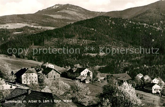 Sommerau Bayern mit Arber