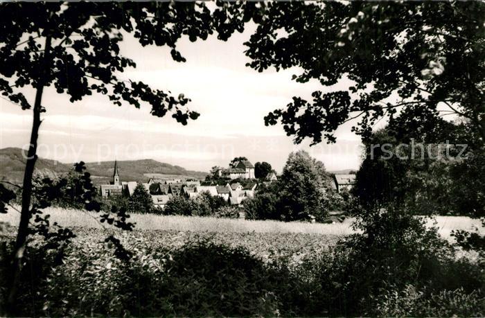 Henfenfeld Panorama