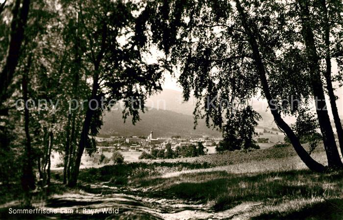 Lam Oberpfalz Teilansicht