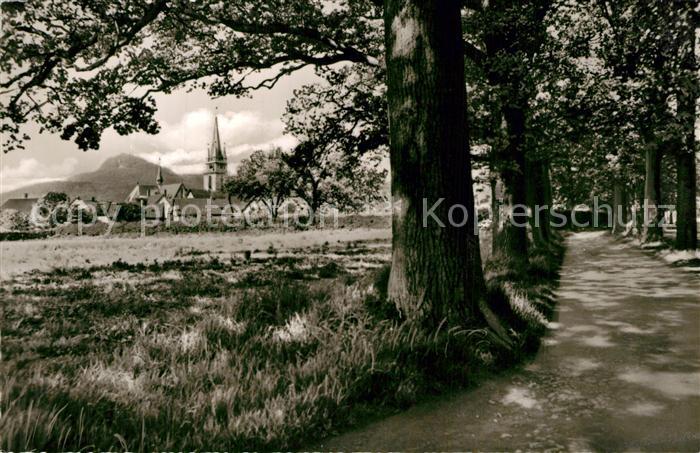 Bad Driburg Grosse Allee mit Kirche und Burg