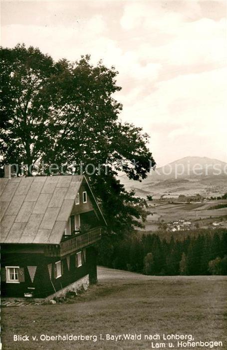 Lohberg Lam Blick vom Oberhaiderberg mit Hohenbogen und Pension Pfeffer