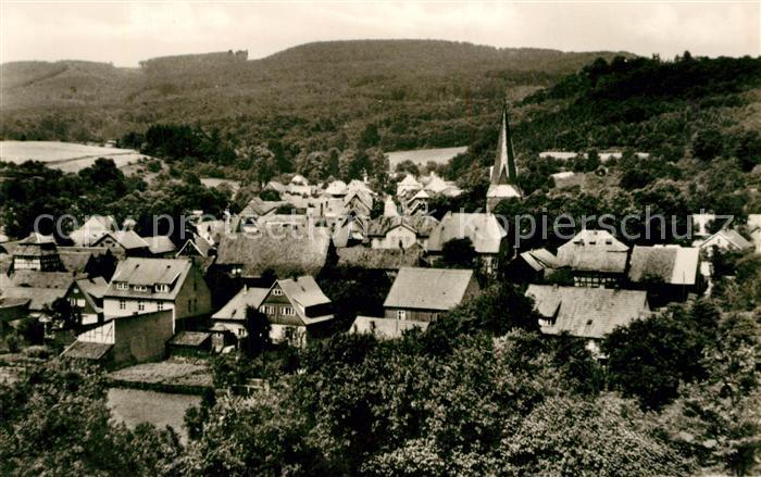 Neustadt Harz Panorama