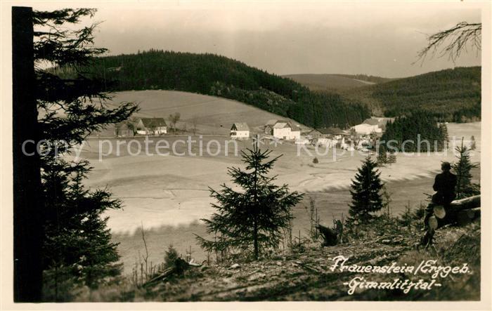 Frauenstein Grimmlitztal Panorama