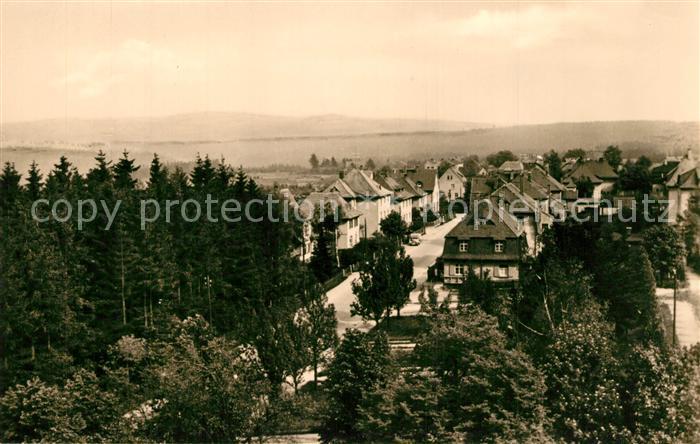 Gruenbach Auerbach Erzgebirge Panorama