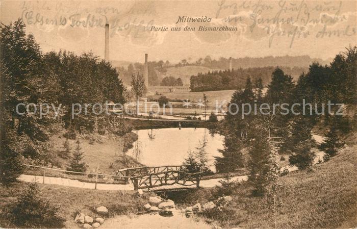 Mittweida Bismarckhaus Panorama