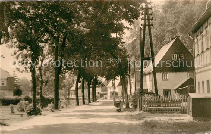 Rechenberg-Bienenmuehle Osterzgebirge Hauptstrasse
