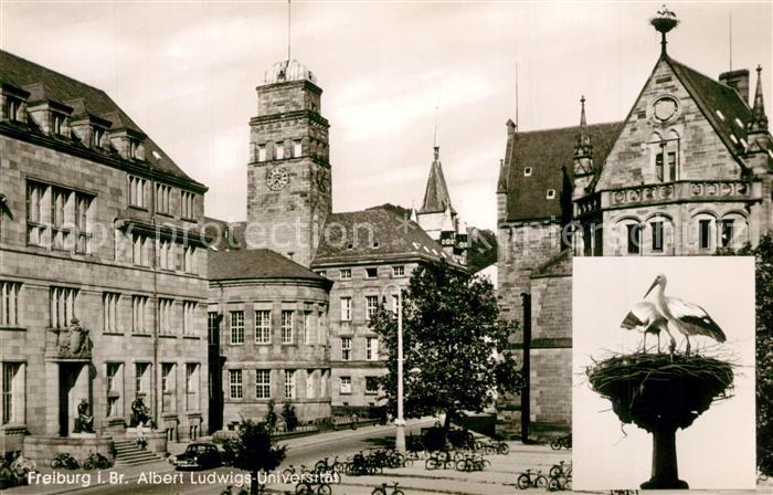 Freiburg Breisgau Albert Ludwig Universitaet Storchennest