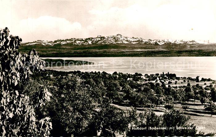 Nussdorf ueberlingen Panorama mit Schweizer Bergen