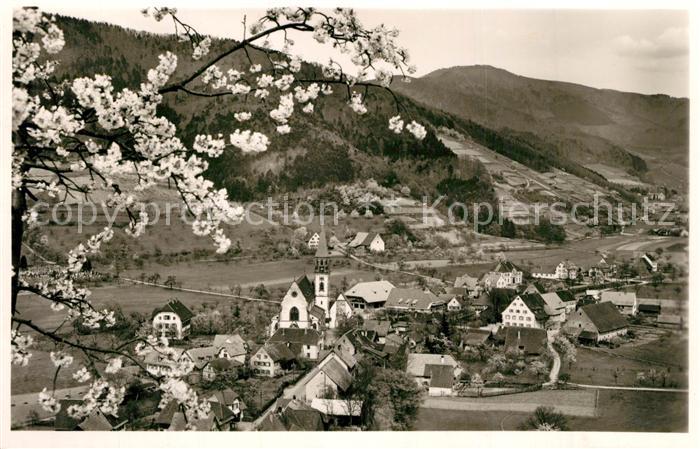 Glottertal Panorama Blaumbluete Kirche