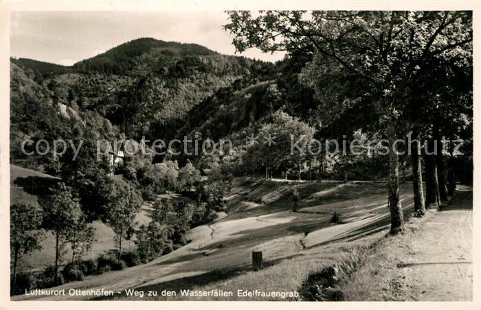 Ottenhoefen Schwarzwald Panorama zu den Wasserfaellen Edelfreuengrab