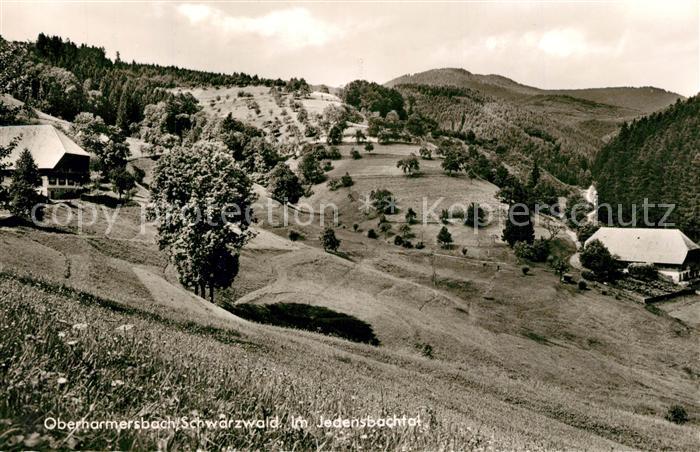 Oberharmersbach Panorama Jedensbachtal
