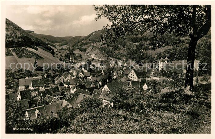 Wiesensteig Panorama
