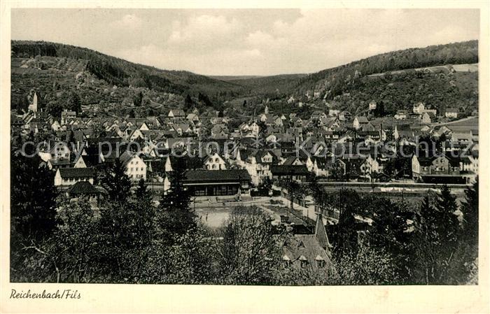 Reichenbach Fils Panorama