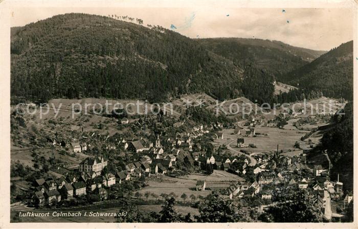 Calmbach Enz Panorama