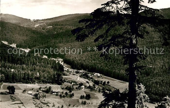 Hundsbach Forbach Gasthaus Pension Forelle Panorama