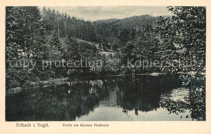 Erlbach Vogtland Flossteich
