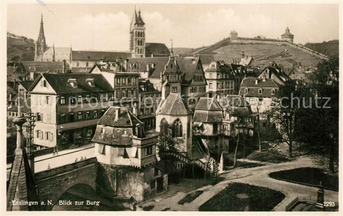 Esslingen Neckar Stadtpanorama Burg