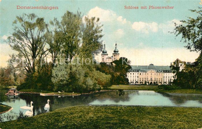 Donaueschingen Schloss Pfauenweiher