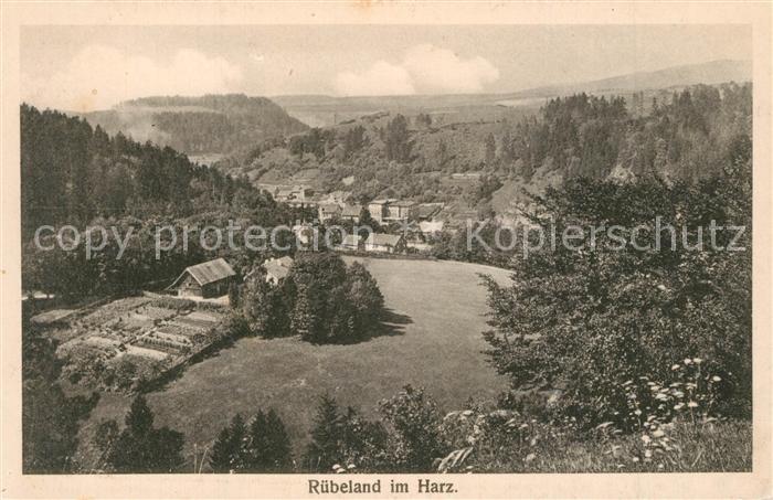 Ruebeland Harz Panorama